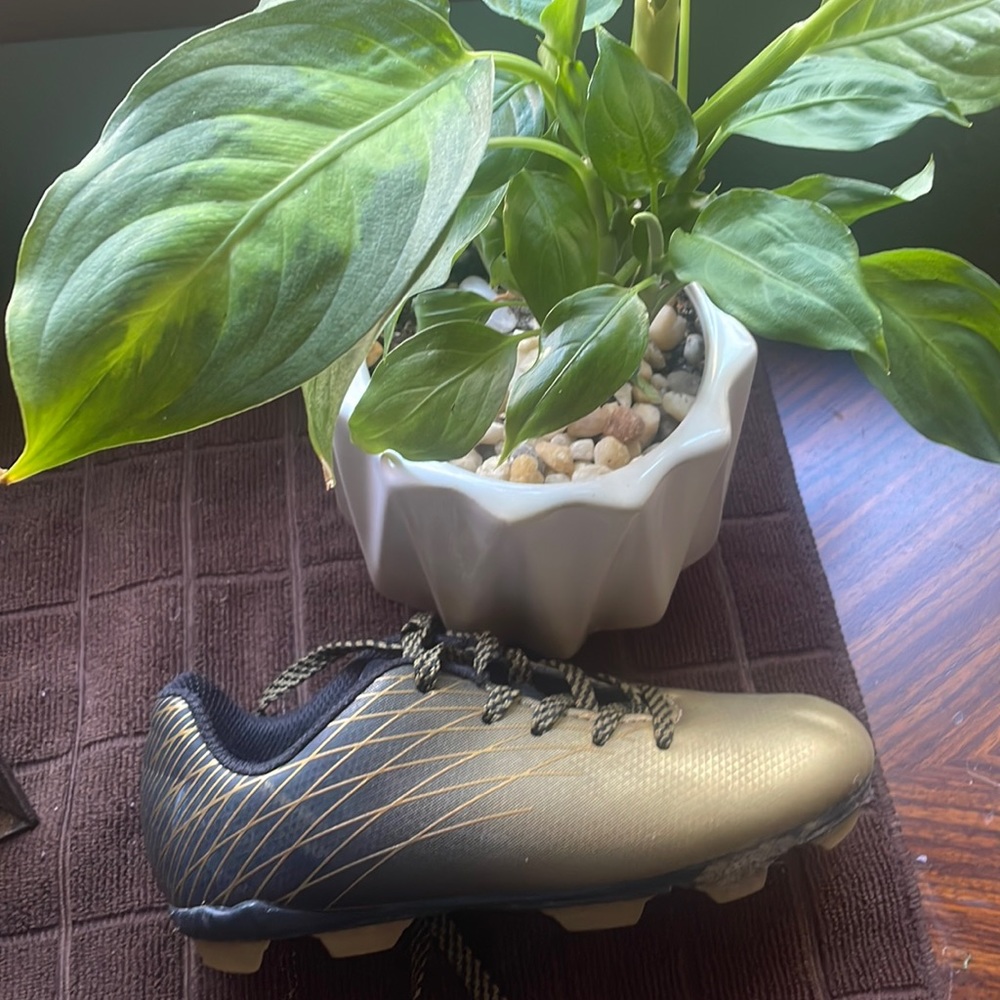 Gold and black unisex cleats. Kids size 12.